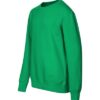 Crew Bluza dziecięca 158 cm/12 lat