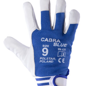 CABRA CABRA BLUE R.8