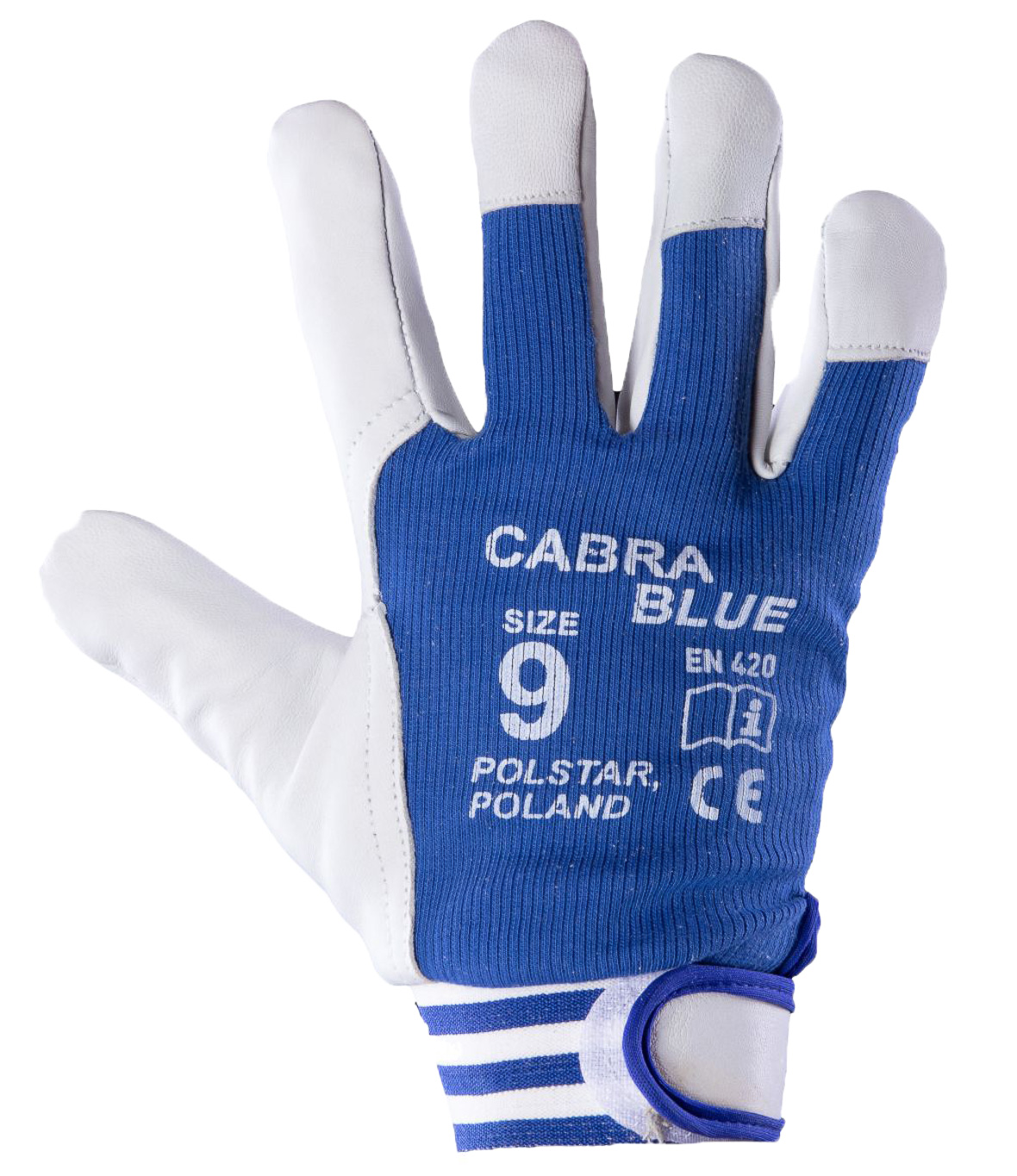 CABRA CABRA BLUE R.8